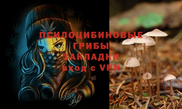 прущий лед Балабаново