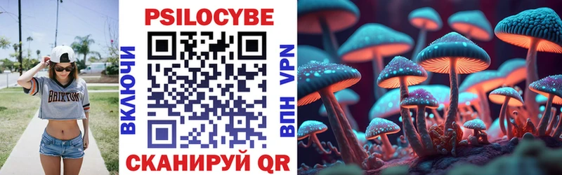ссылка на мегу сайт  Новоуральск  Псилоцибиновые грибы мицелий 